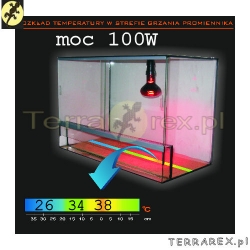 ciepło w terrarium - żarówka 100W rozkład temperatur
